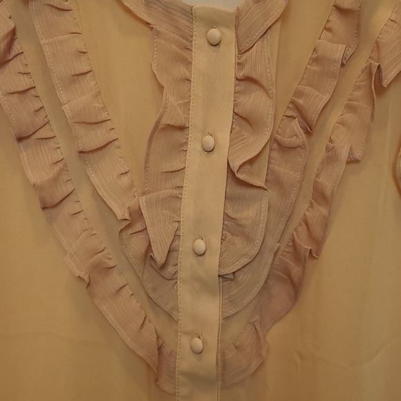 Banana Republic sheer top - Picture 3 of 8